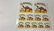 Camel-tarra-arkki