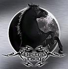 The Electric Lady : Black moon