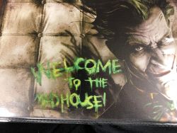 Welcome to the Madhouse -kilpi, 20 x 30 cm